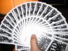 Mirror Giant Fan.jpg