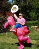 Funny Costume.jpg