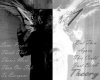 Theory11B&W2.jpg