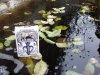 splitspades.jpg