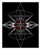 Back Design (Playing Card).JPG