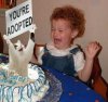 adoptcat.jpg