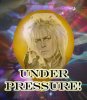 Bowie Pressure.jpg