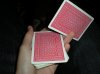 DSCN0961.jpg