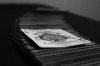 DSC02105.jpg