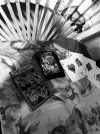 IMG_8373.jpeg
