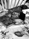 IMG_8374.jpeg