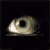 TheShadowUnion